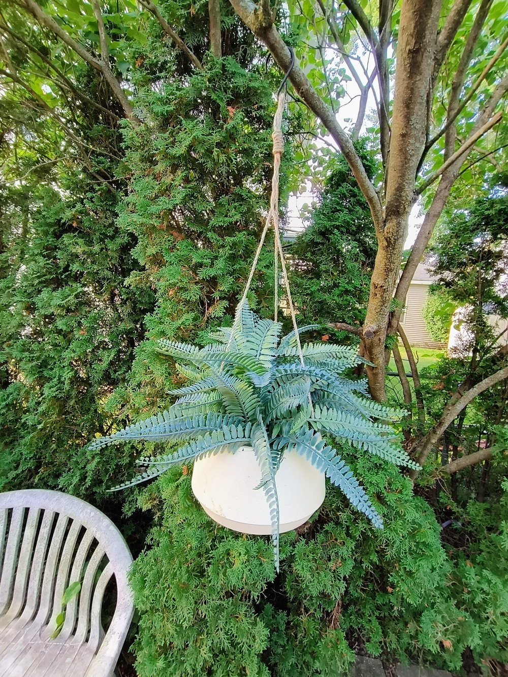Hanging White Planter with Green Fern Accent 11 X 14 X 16 Artificial